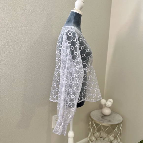 Zara Lilac Sheer Embroidered Floral V-Neck Blouse - Picture 4 of 6